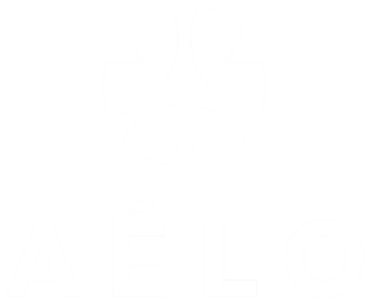 Shopaelo.official